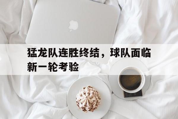 猛龙队连胜终结，球队面临新一轮考验