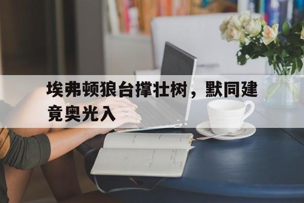 包含埃弗顿狼台撑壮树，默同建竟奥光入的词条